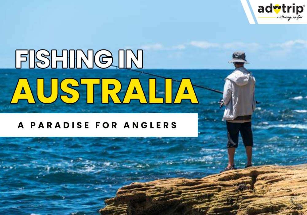 10 Best Fishing  Sport In  Australia